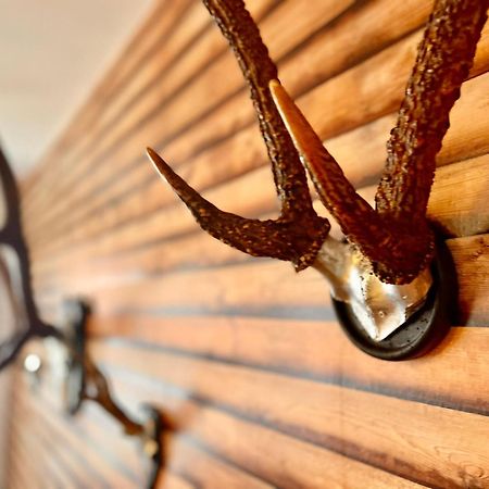Homelikestay: Ferienwohnungen - Wernigerode - Wlan - Bestlage - Liebevolle Einrichtung Εξωτερικό φωτογραφία
