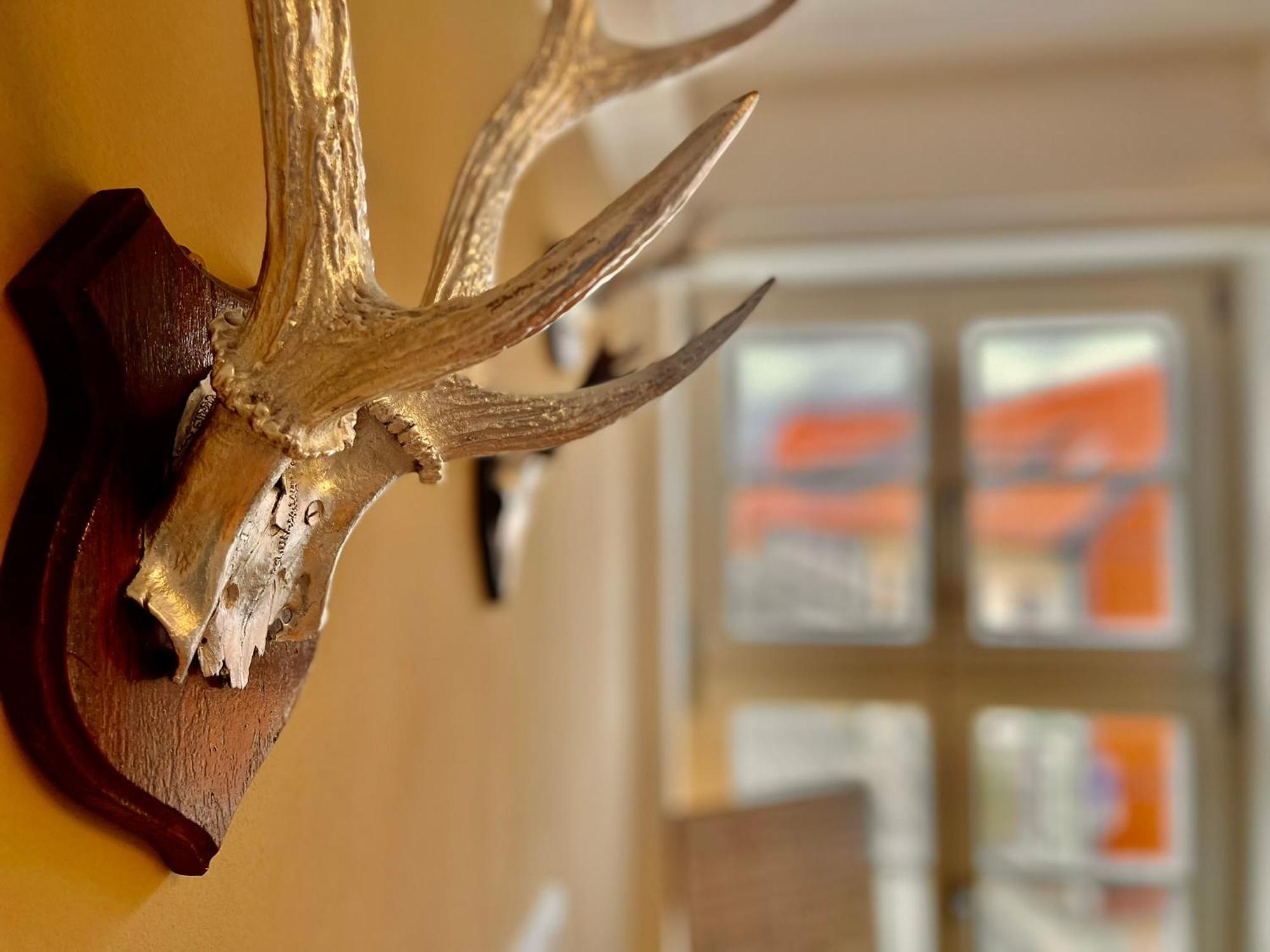 Homelikestay: Ferienwohnungen - Wernigerode - Wlan - Bestlage - Liebevolle Einrichtung Εξωτερικό φωτογραφία